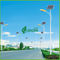 Professionele Witte Kleuren120w Commerciële Zonneverlichting met PV Zonnepanelen