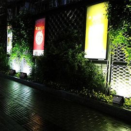 Energie van Efficiënte Zonne LEIDENE Openluchtce RoHs Vloedlichten voor Landschapsverlichting