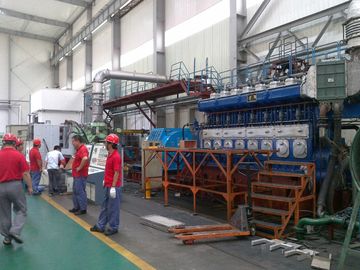 Diesel van de Gensetelektrische centrale Water Gekoelde Generator 11KV 750Rpm