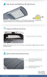 LEIDENE van de aluminium100w van de Hoge Macht de Inrichtingen Straatverlichting IP65, 120v 130v 240v
