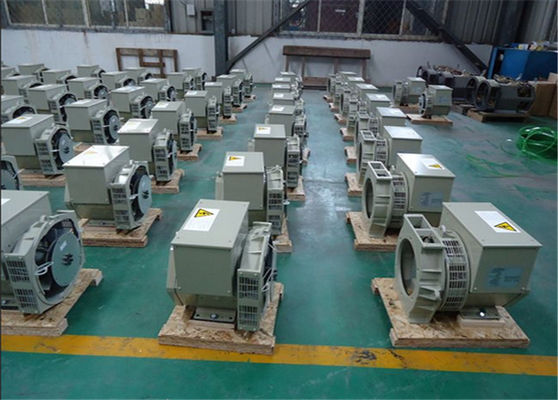 50hz 3000rpm 3 Faseac Generator Zelf het Opwekken 100% Koperdraad